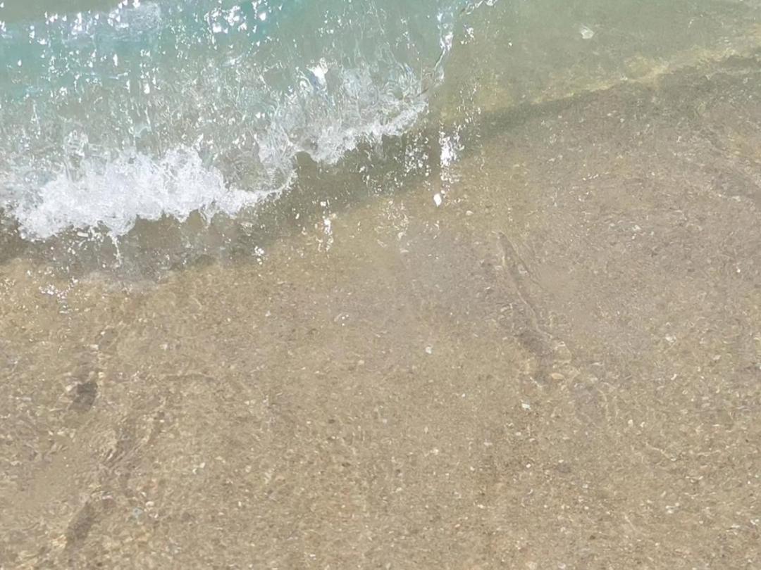 Pousada Sereia Morena Floripa Florianópolis Eksteriør billede